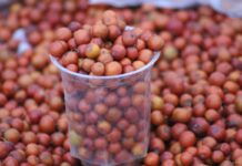 இலந்தை பழத்தின் மருத்துவ பயன்கள்